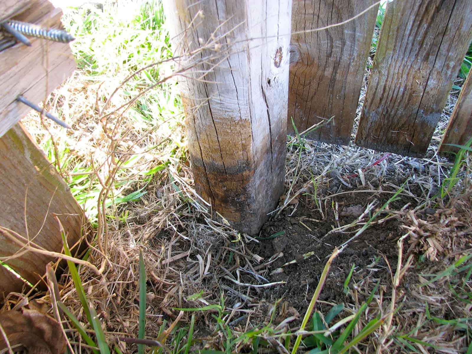 How to Remove a 4x4 Fence Post that is Snapped Off at Ground Level